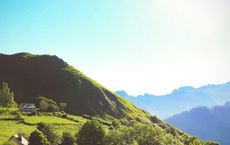 Article Image for Ayurvedic Principles for Modern Living