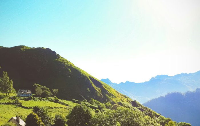 Article Image for Ayurvedic Principles for Modern Living