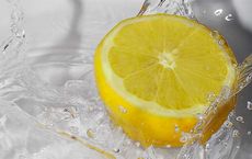 Benefits of Lemon Water A Modern Approach to Wellness