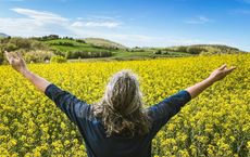 Article Image for Creating a Distinct Identity in the Wellness Market