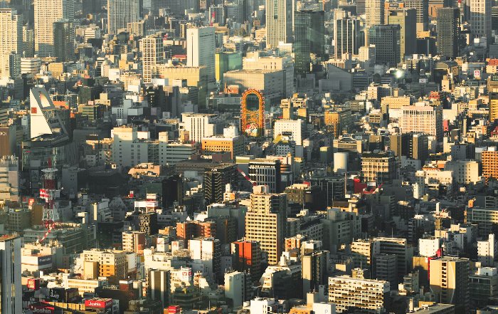 Article Image for Eco-Conscious Living in Major Metropolises