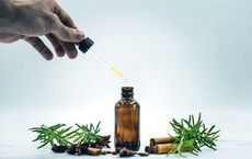 Overview of the Essential Oils Market Projected USD 15 Billion in 2026