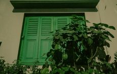 Article Image for Green Living Habits in Global Urban Centers