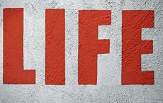 Article Image for How Lifestyle Affects Long-Term Focus and Output