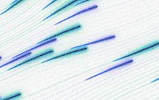 Article Image for Major Reports on Evolving Public Health Patterns