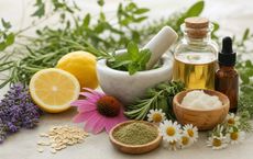 Article Image for Natural Ingredients Worth Knowing
