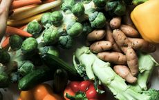 Article Image for Nutrition Choices Reflecting Modern Health Awareness