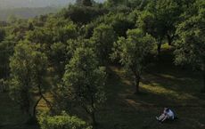 Article Image for The Allure of Silent Retreats