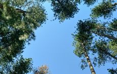 Article Image for The Connection Between Clean Air and Health