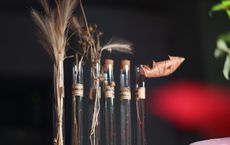 Article Image for The Craft of Aromatherapy in Modern Life