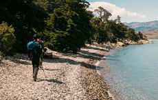 Article Image for The Emergence of Health-Focused Journeys