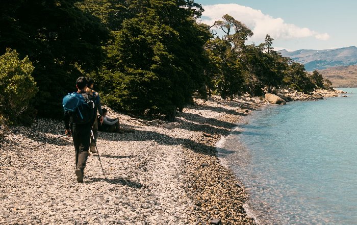 Article Image for The Emergence of Health-Focused Journeys