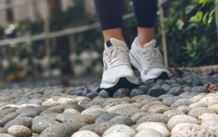 Article Image for The Evolution of Personalized Wellness Plans