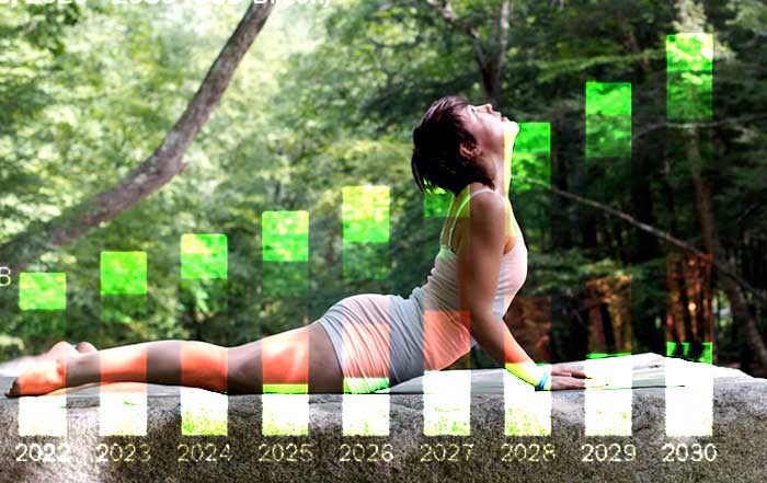 The Expansion of the Global Wellness Market Key Stats