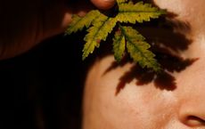 Article Image for The Future of Cosmetic Dermatology