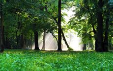 Article Image for The Intersection of Environmental Health and Human Wellbeing