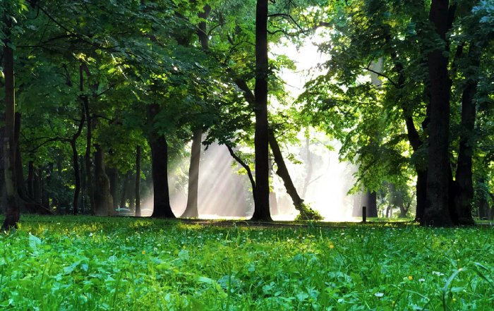 Article Image for The Intersection of Environmental Health and Human Wellbeing