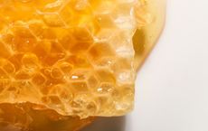 Article Image for The Next Wave of Skin Health Technology