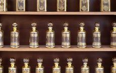 Article Image for The Renaissance of Herbal Remedies