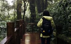 Article Image for The Rise of Health Conscious Travel Experiences