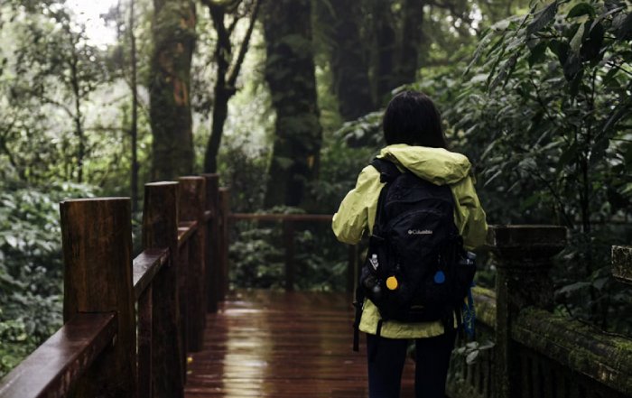 Article Image for The Rise of Health Conscious Travel Experiences