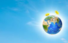 The Symbiosis of Wellness and Environmental Consciousness