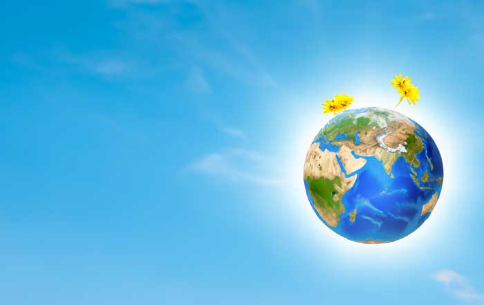 The Symbiosis of Wellness and Environmental Consciousness