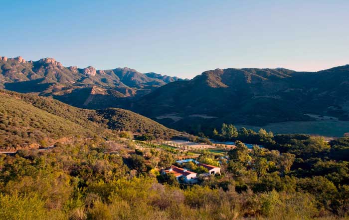 Top Wellness Retreats in the United States