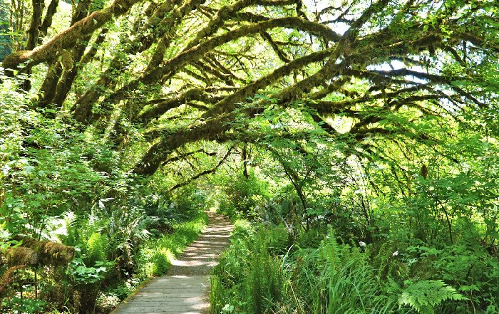 Article Image for Where Environmental Health Meets Personal Wellbeing