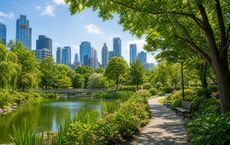 Article Image for Why Urban Green Spaces Matter